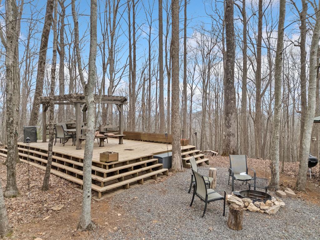 541 Little Bushy Head Road Property Photo 35