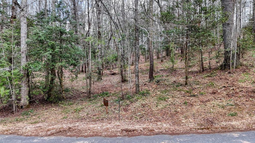 Lot 14 Fiddlers Cove Property Photo
