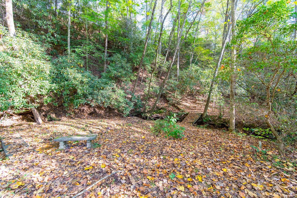 2889 Old Parker Place Road Property Photo 20