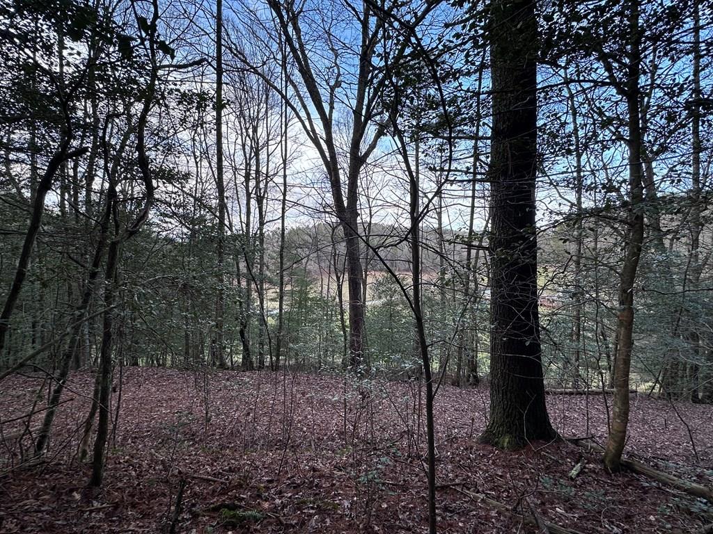 Appalachian Estates Real Estate Listings Main Image