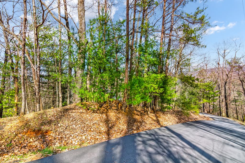 Lot Gc60 Walnut Mountain Road Property Photo 1