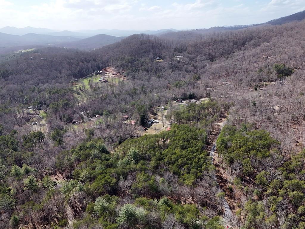 4.43 Ac Turkey Trot Property Photo 2