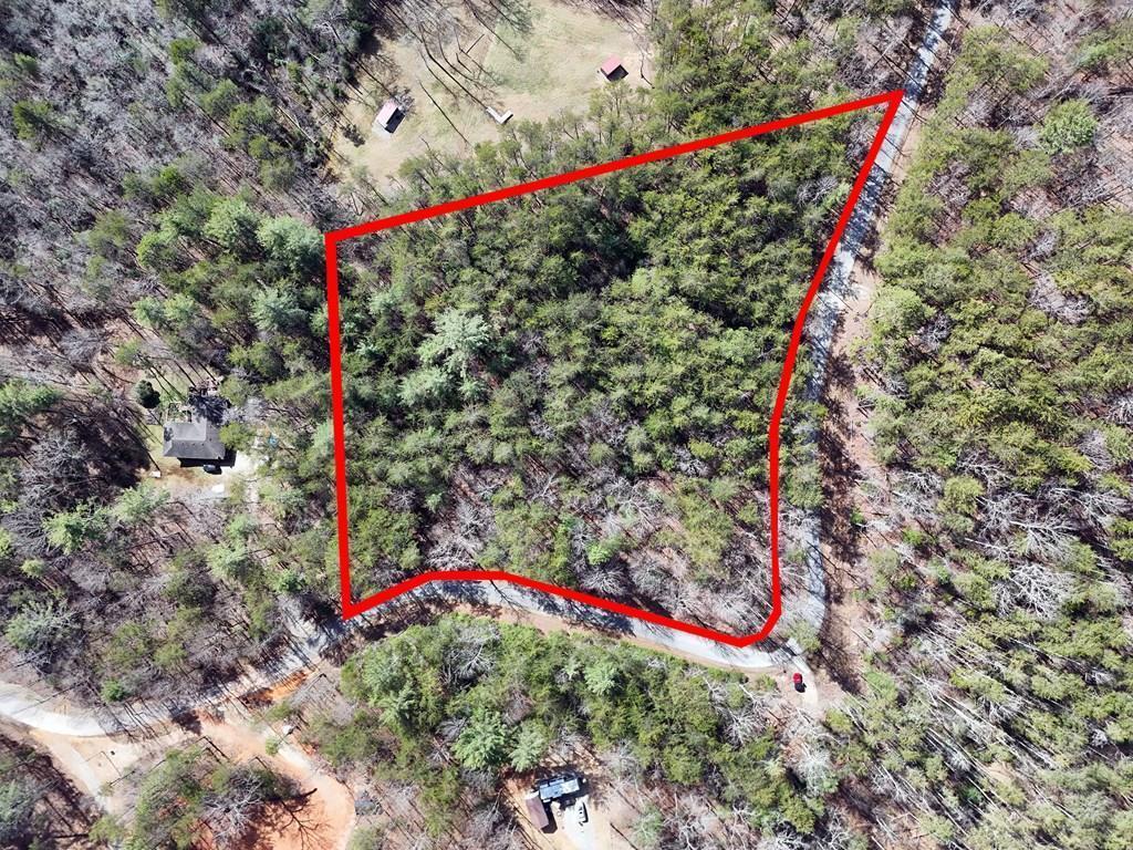 4.43 Ac Turkey Trot Property Photo 3