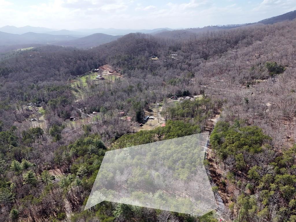 4.43 Ac Turkey Trot Property Photo 4