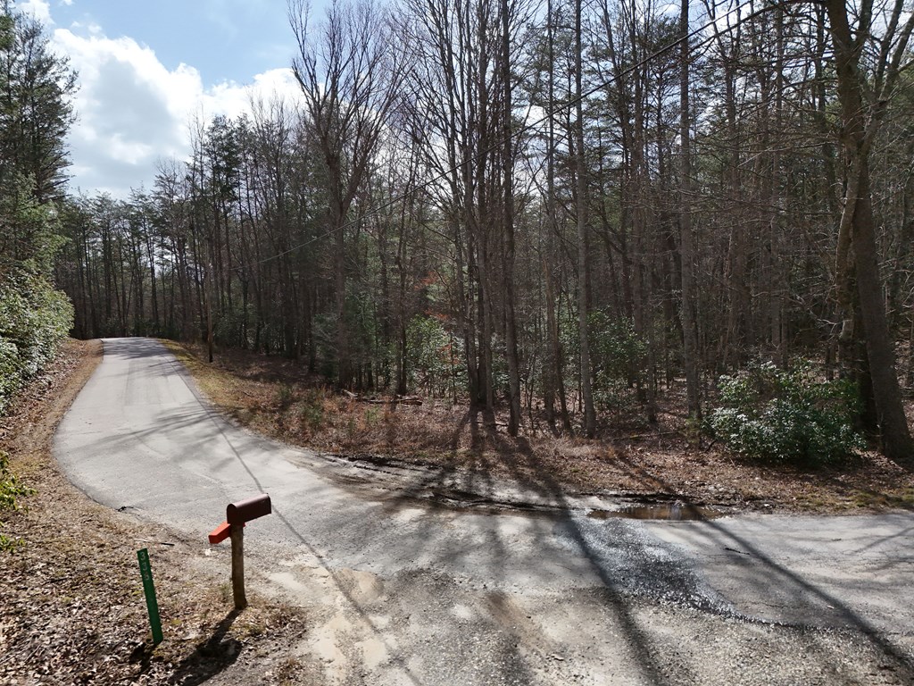 4.43 Ac Turkey Trot Property Photo 5