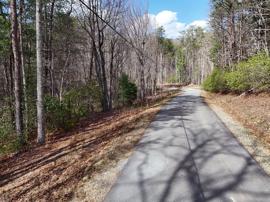 4.43 Ac Turkey Trot Property Photo 6