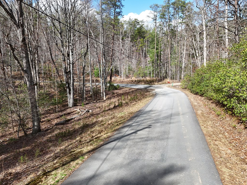 4.43 Ac Turkey Trot Property Photo 7
