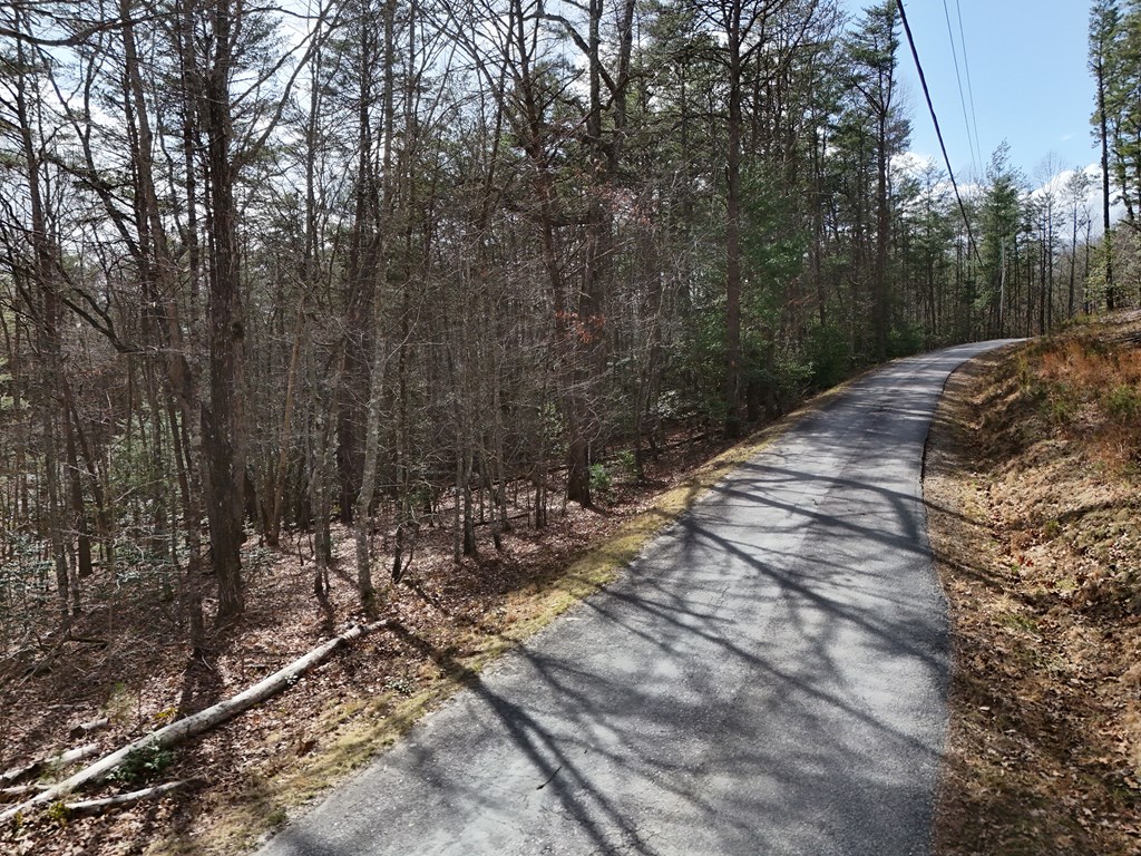 4.43 Ac Turkey Trot Property Photo 8