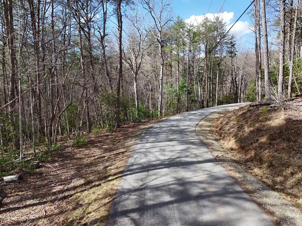 4.43 Ac Turkey Trot Property Photo 9