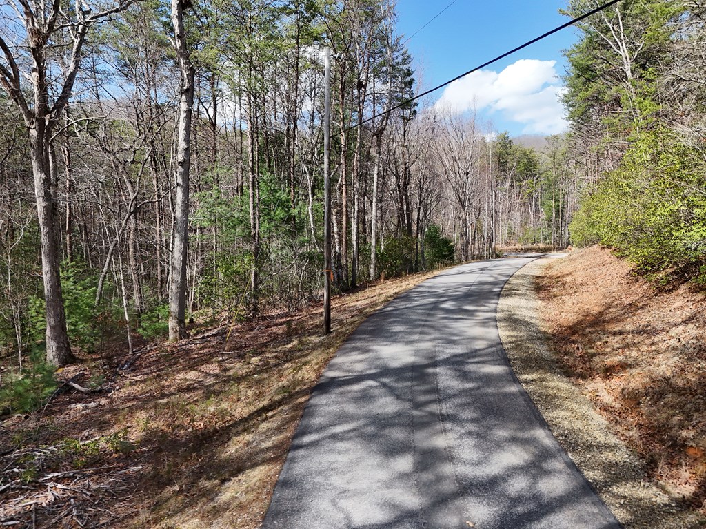 4.43 Ac Turkey Trot Property Photo 10