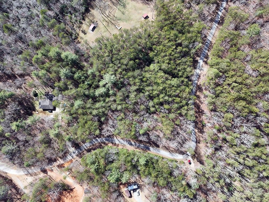 4.43 Ac Turkey Trot Property Photo 11
