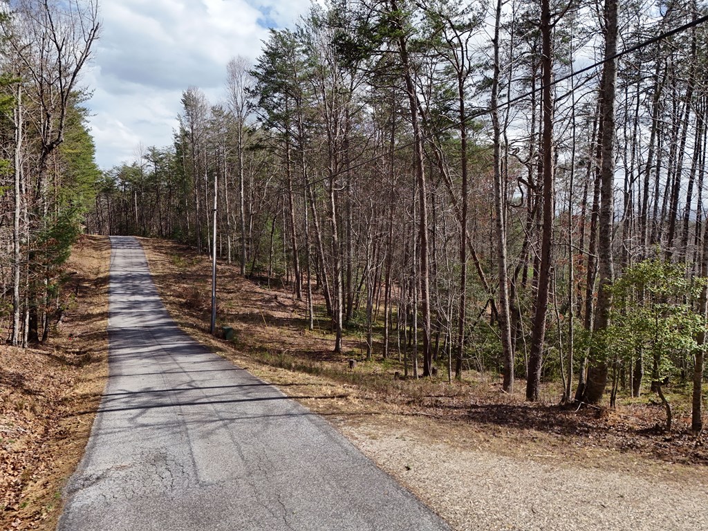 4.43 Ac Turkey Trot Property Photo 12