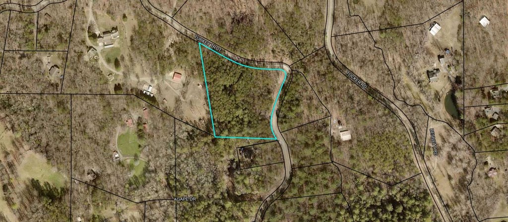 4.43 Ac Turkey Trot Property Photo 13
