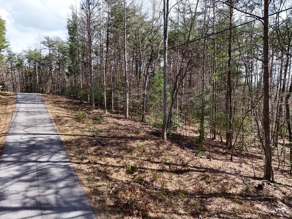 4.43 Ac Turkey Trot Property Photo 14