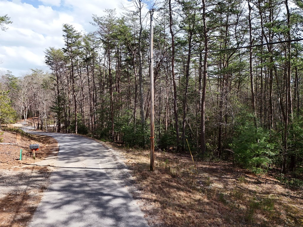 4.43 Ac Turkey Trot Property Photo 15