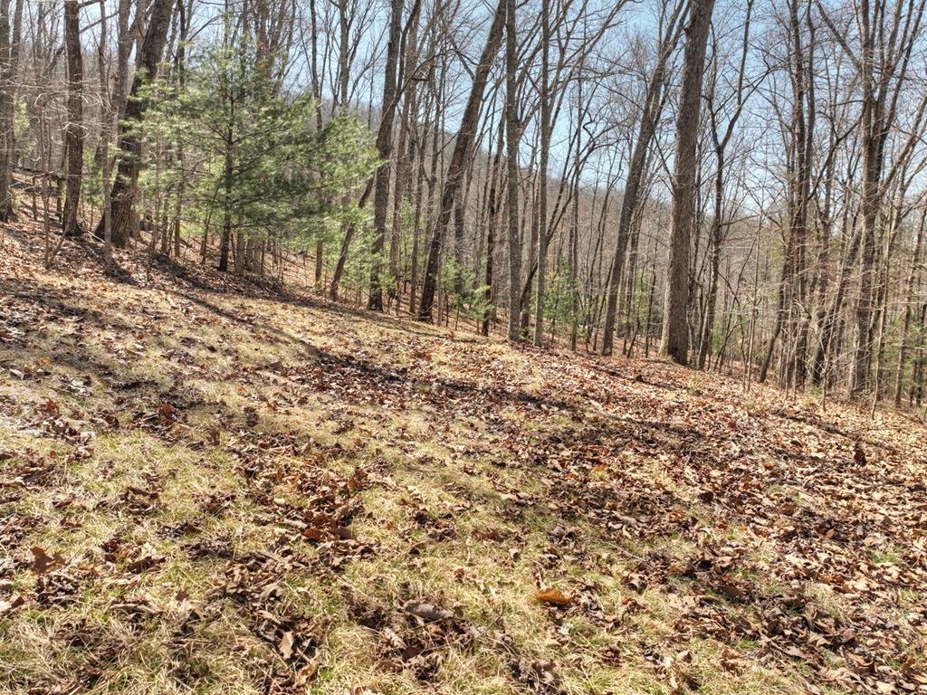 114 Jake Drive Property Photo 51
