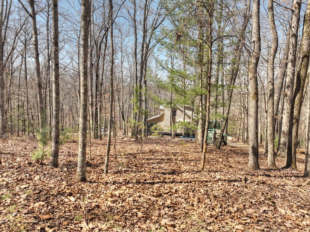 114 Jake Drive Property Photo 54