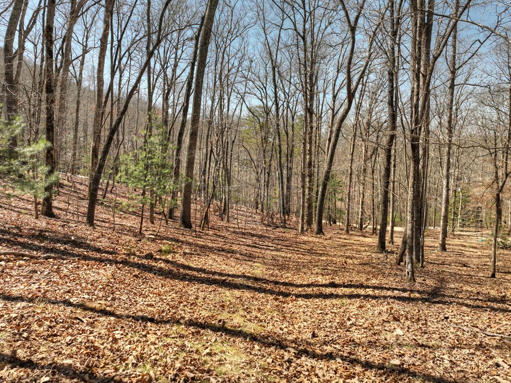 114 Jake Drive Property Photo 55