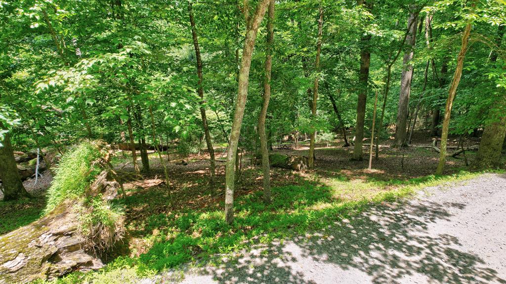 Lot 481 Diaz Court Property Photo