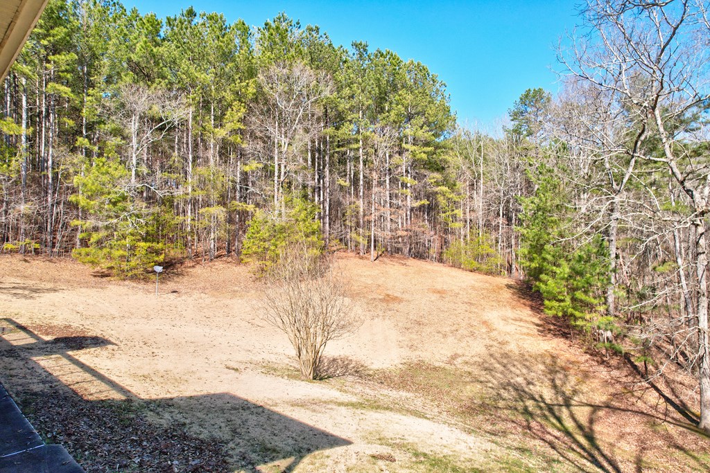1676 Shoal Creek Road Property Photo 5