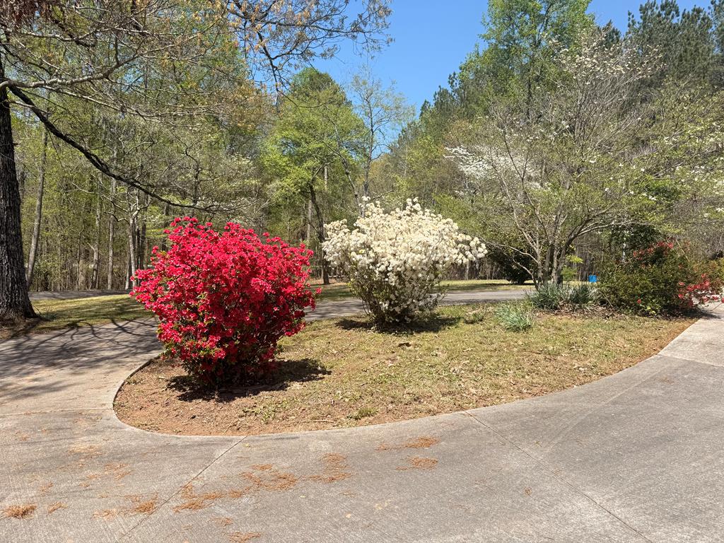 1676 Shoal Creek Road Property Photo 40