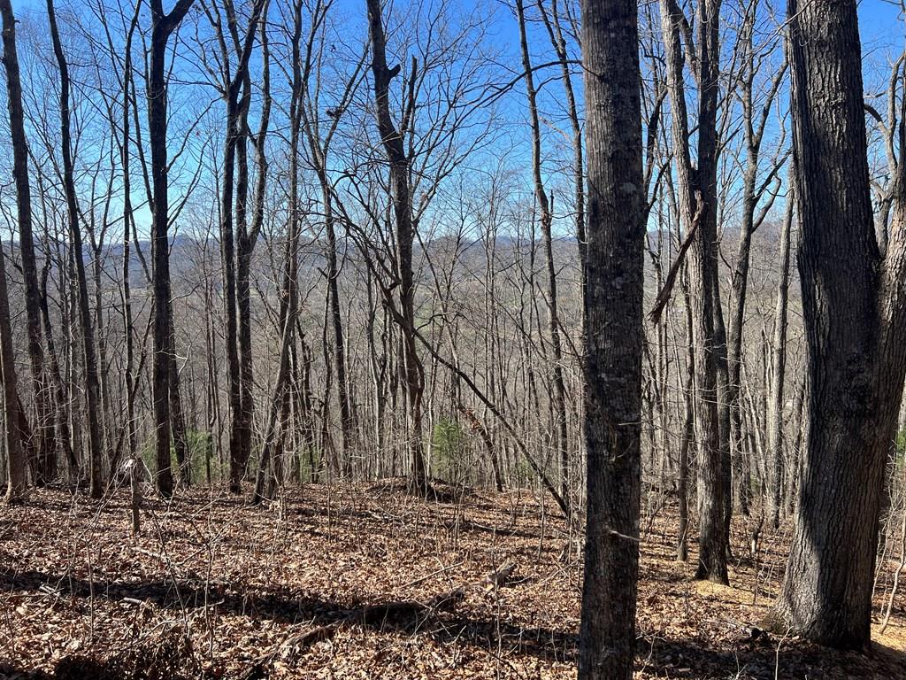 Lots 7&8 Wikle Road Property Photo 1
