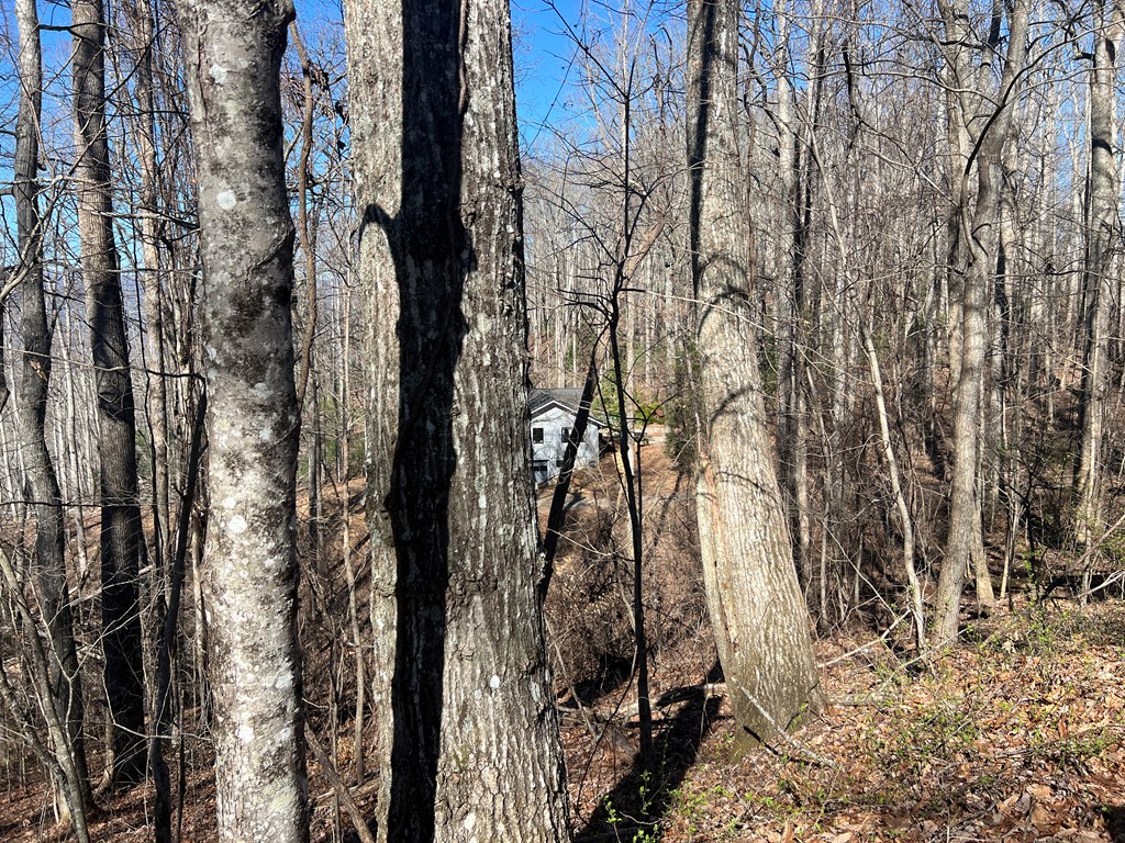 Lots 7&8 Wikle Road Property Photo 11