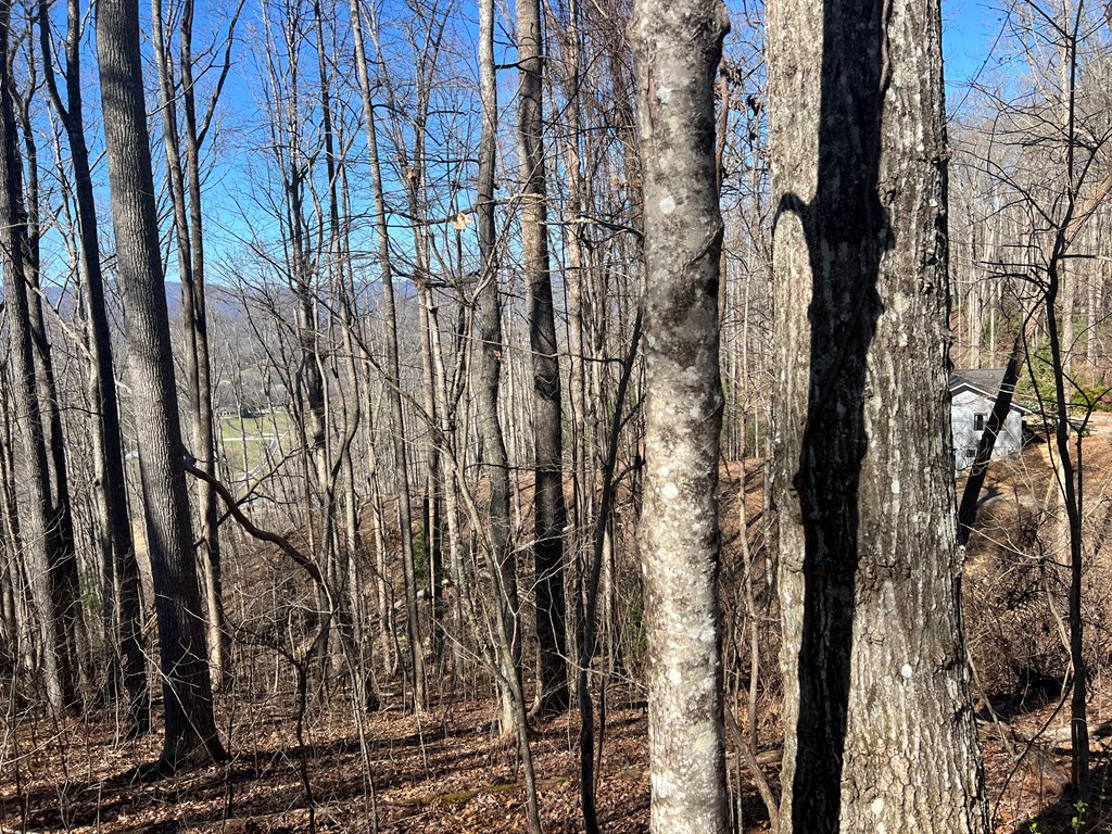 Lots 7&8 Wikle Road Property Photo 12