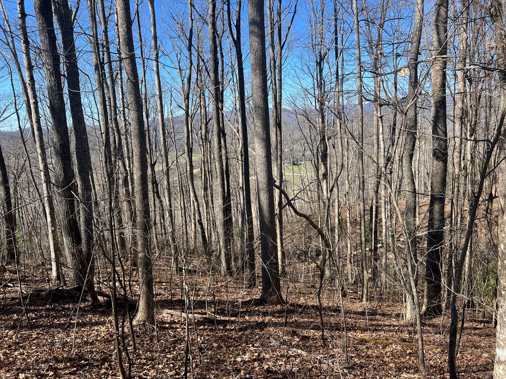Lots 7&8 Wikle Road Property Photo 14