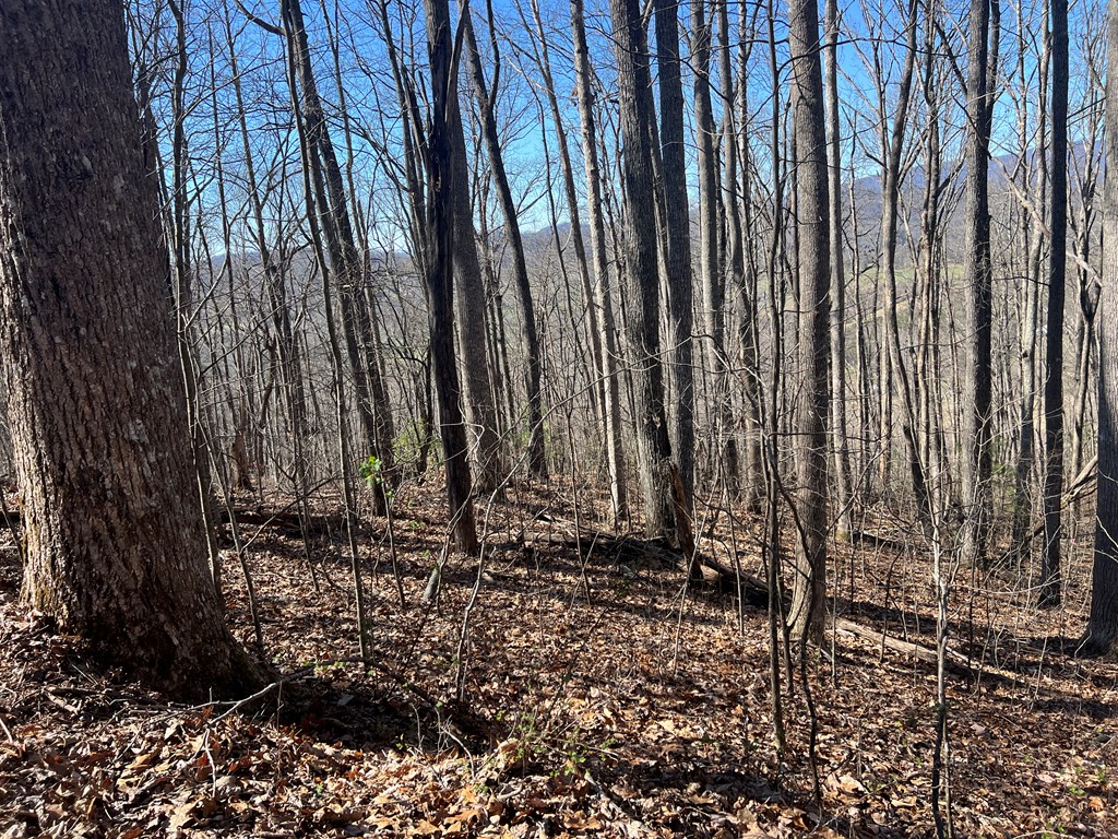 Lots 7&8 Wikle Road Property Photo 15