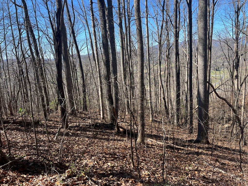 Lots 7&8 Wikle Road Property Photo 16