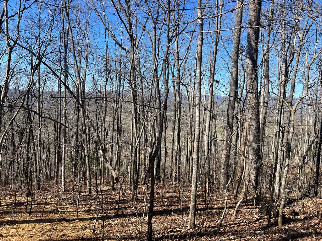 Lots 7&8 Wikle Road Property Photo 20