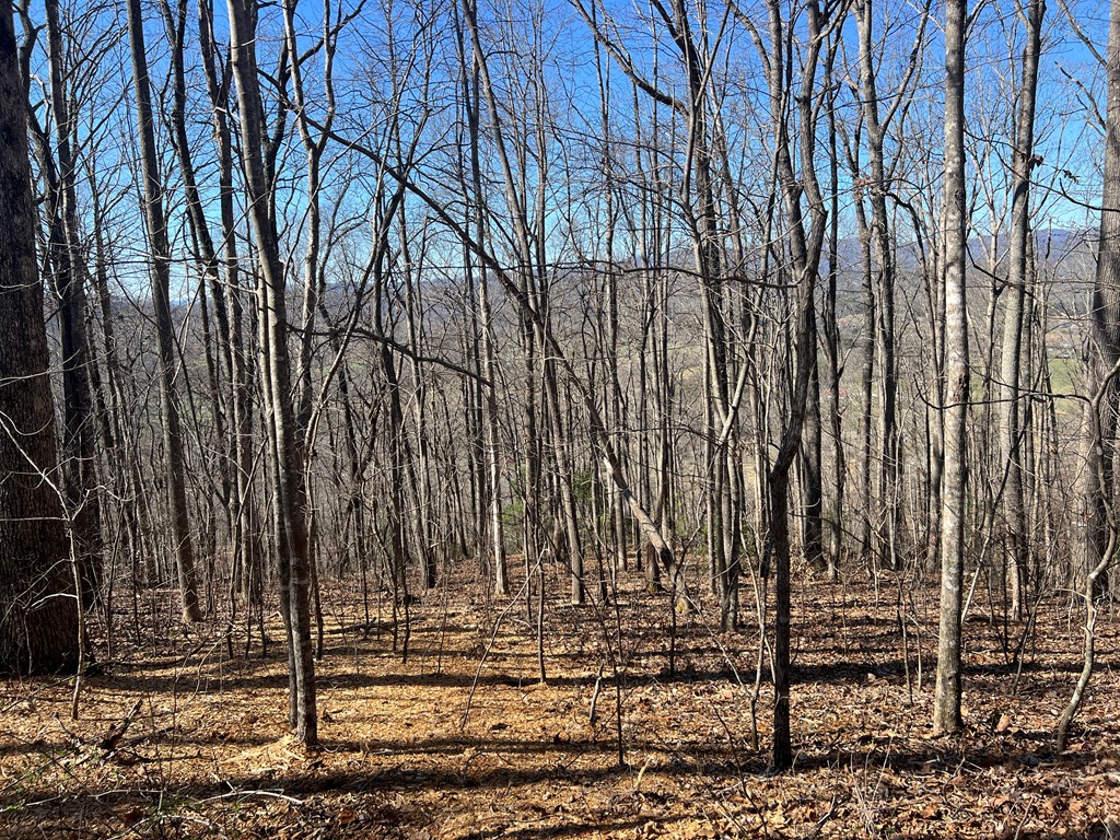 Lots 7&8 Wikle Road Property Photo 22