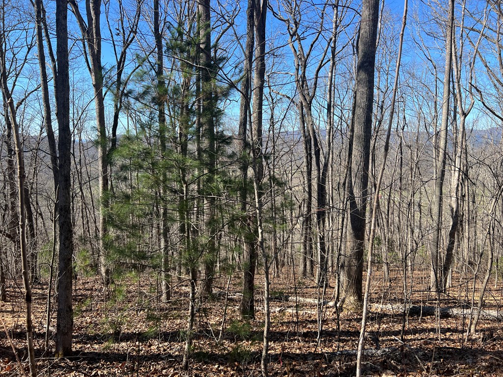 Lots 7&8 Wikle Road Property Photo 25