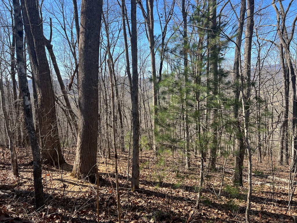 Lots 7&8 Wikle Road Property Photo 26