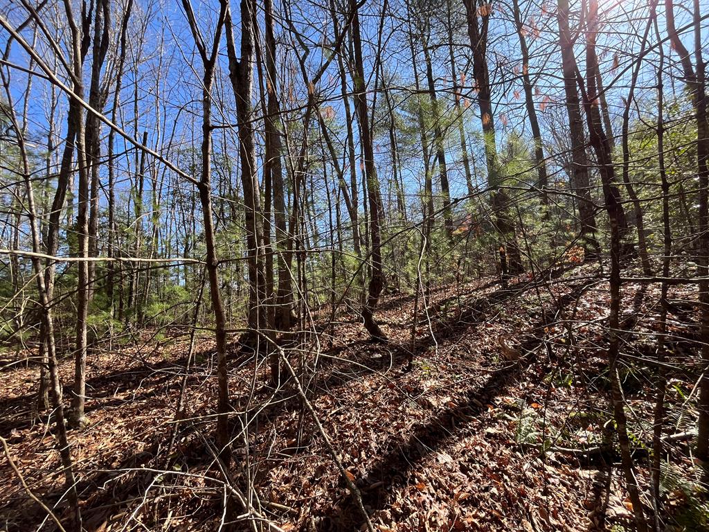 Lot 267 Cajun Lane Property Photo