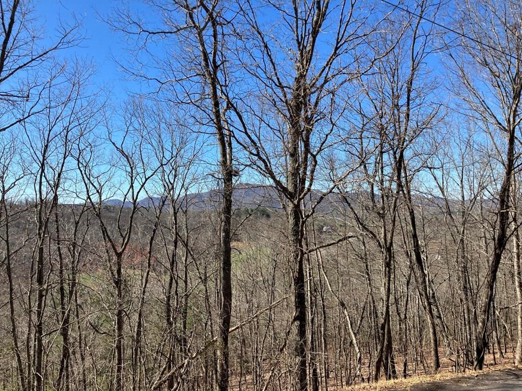 Brushy Hills Real Estate Listings Main Image