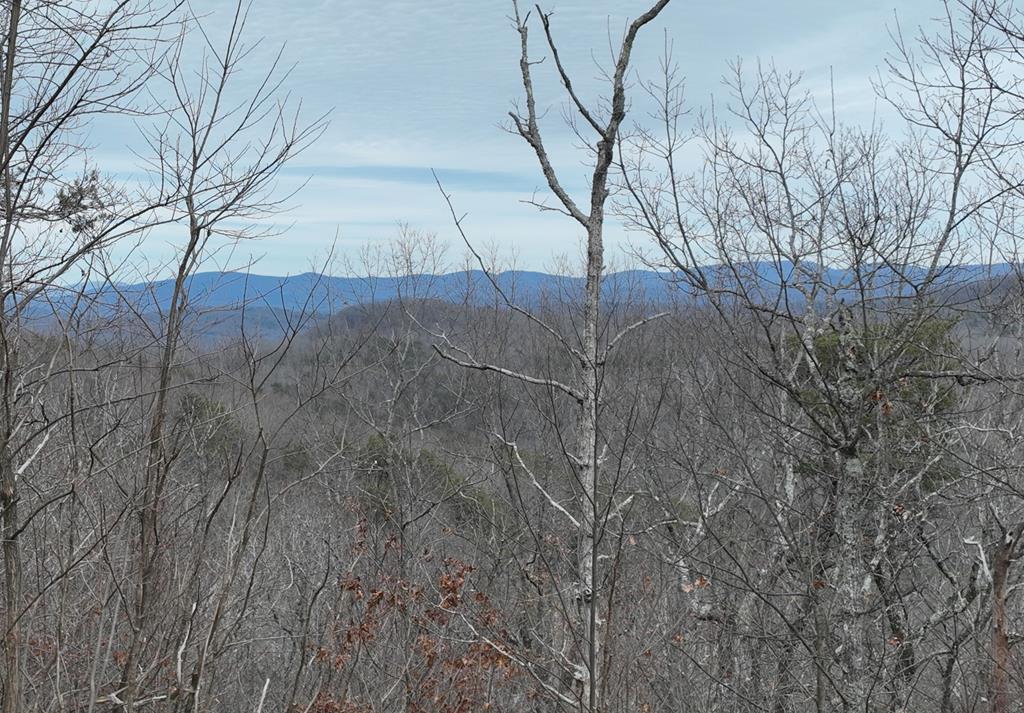 235 Andes Ridge Property Photo