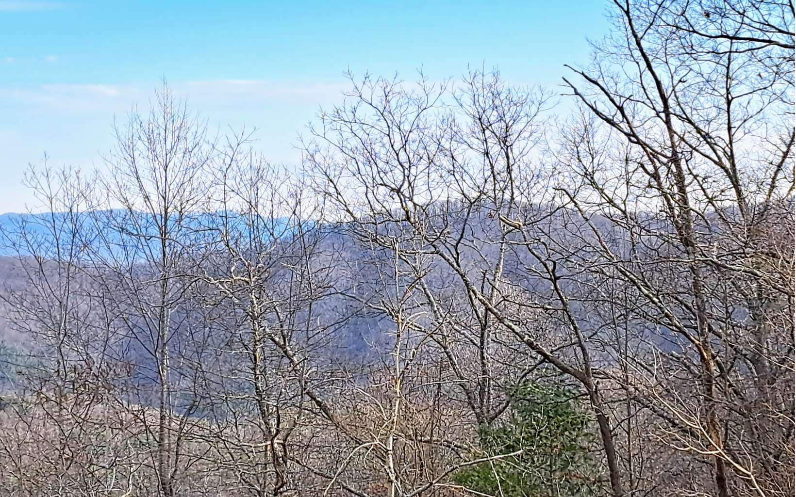 Lot2 Summit Pass Property Photo
