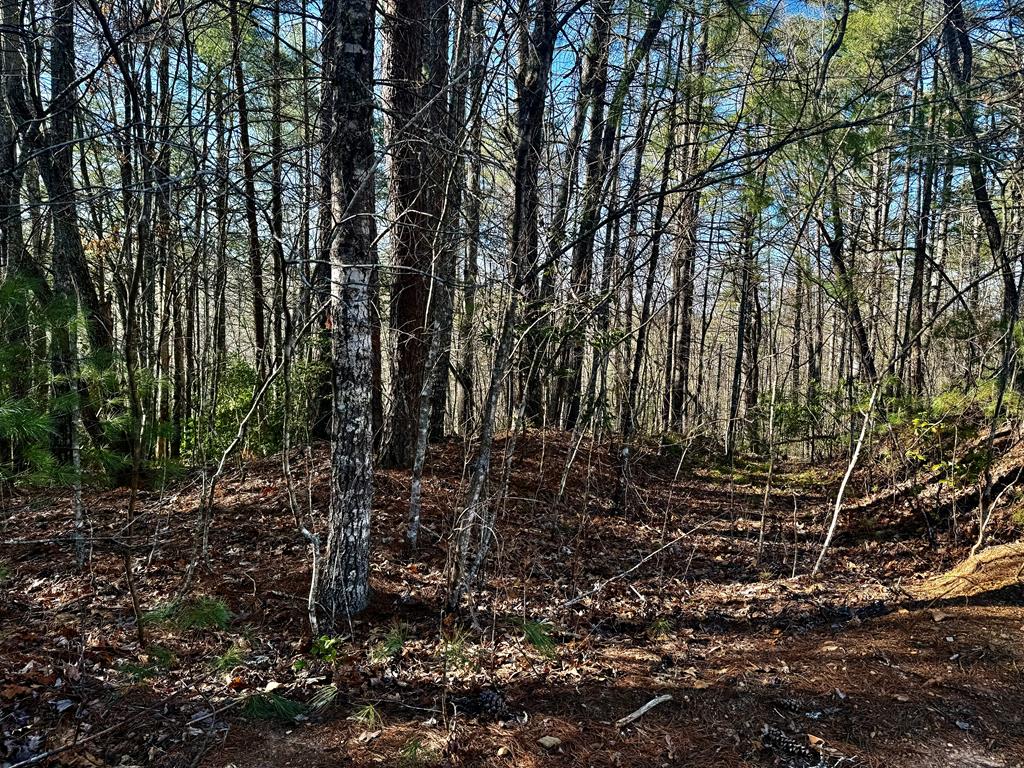 0 Shuler Mountain Road Property Photo
