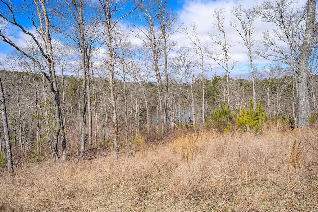 Lot 163 Lecroy Drive Property Photo 1
