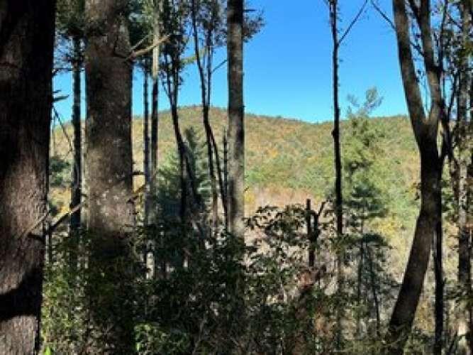0 Chief Whitetails Road Property Photo