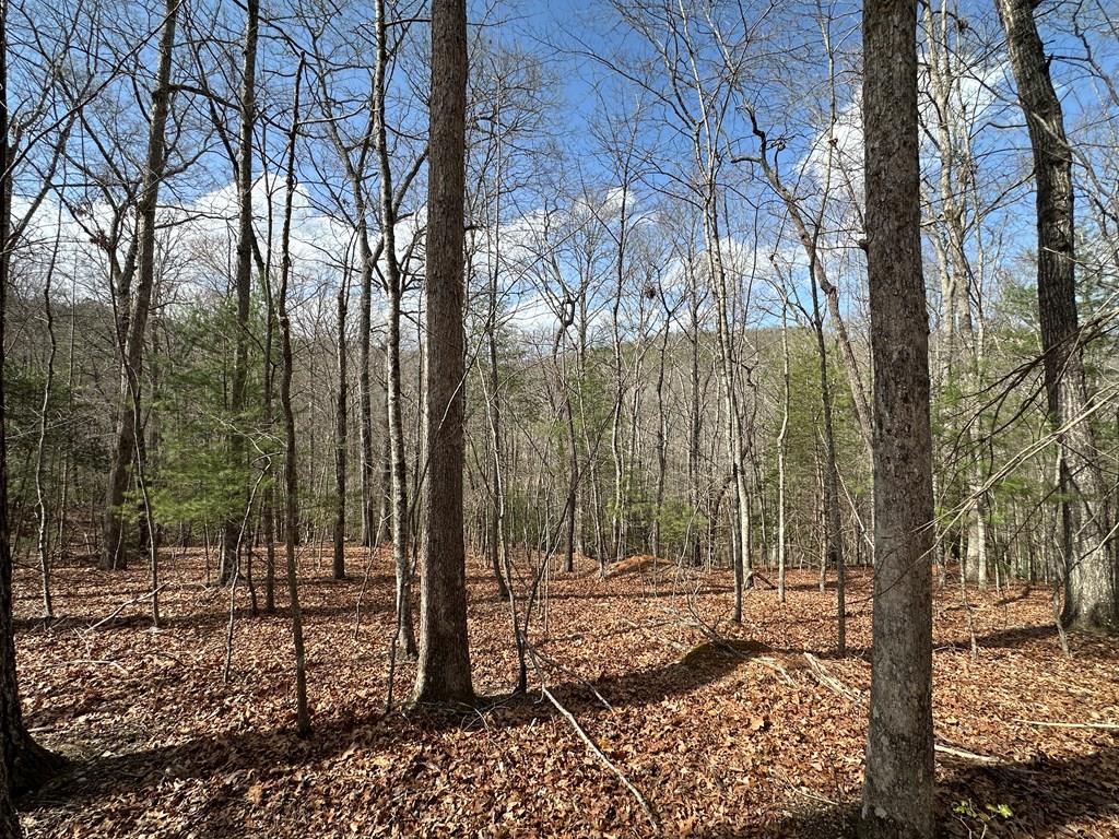 Lot 19 Black Oak Road Property Photo