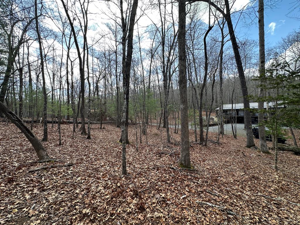 Lot 20 Black Oak Road Property Photo