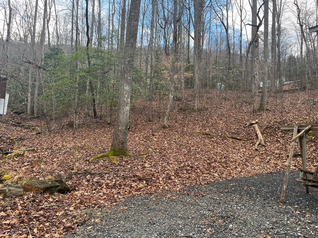 142 Gander Gap Road Property Photo 2