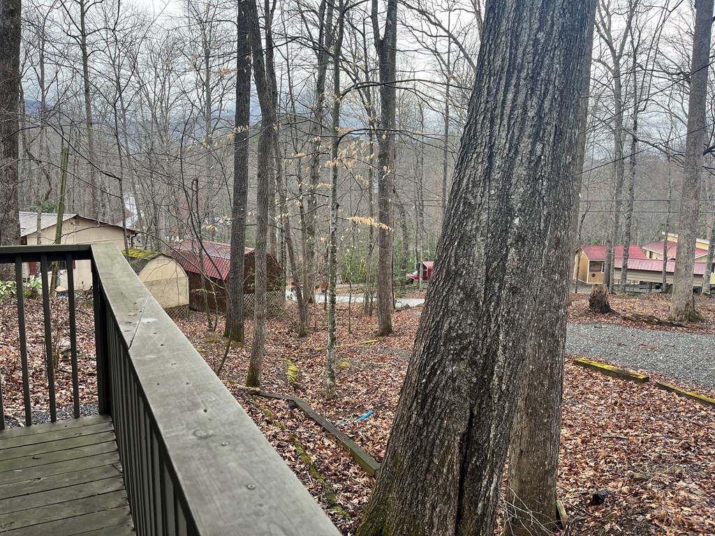 142 Gander Gap Road Property Photo 25