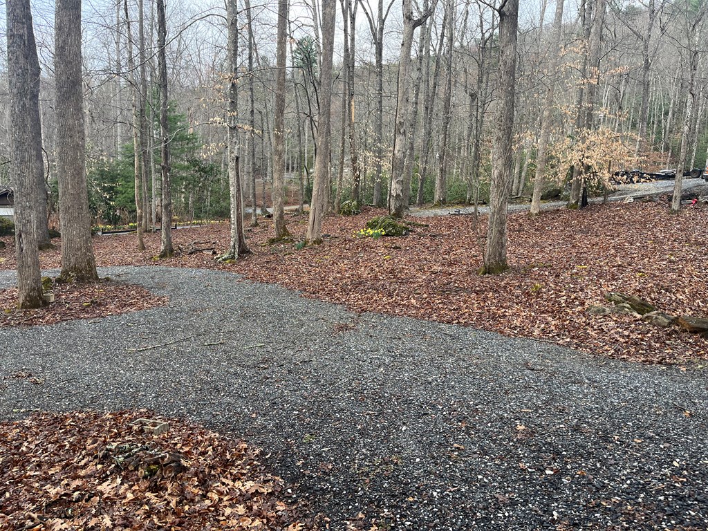 142 Gander Gap Road Property Photo 29