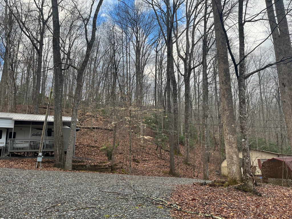 142 Gander Gap Road Property Photo 30
