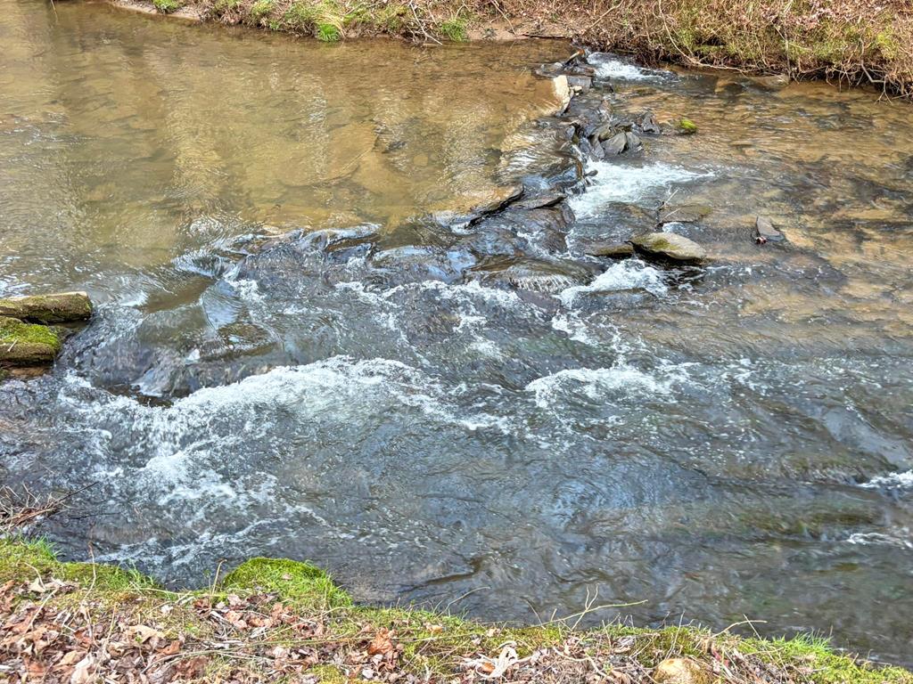 Lot 12 Mcafee Knob Road Property Photo