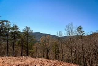 0 Clearview Mountain Property Photo 1